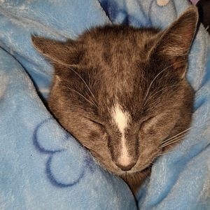 Meet your Posher, Ack